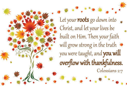 colossians2_7-roots
