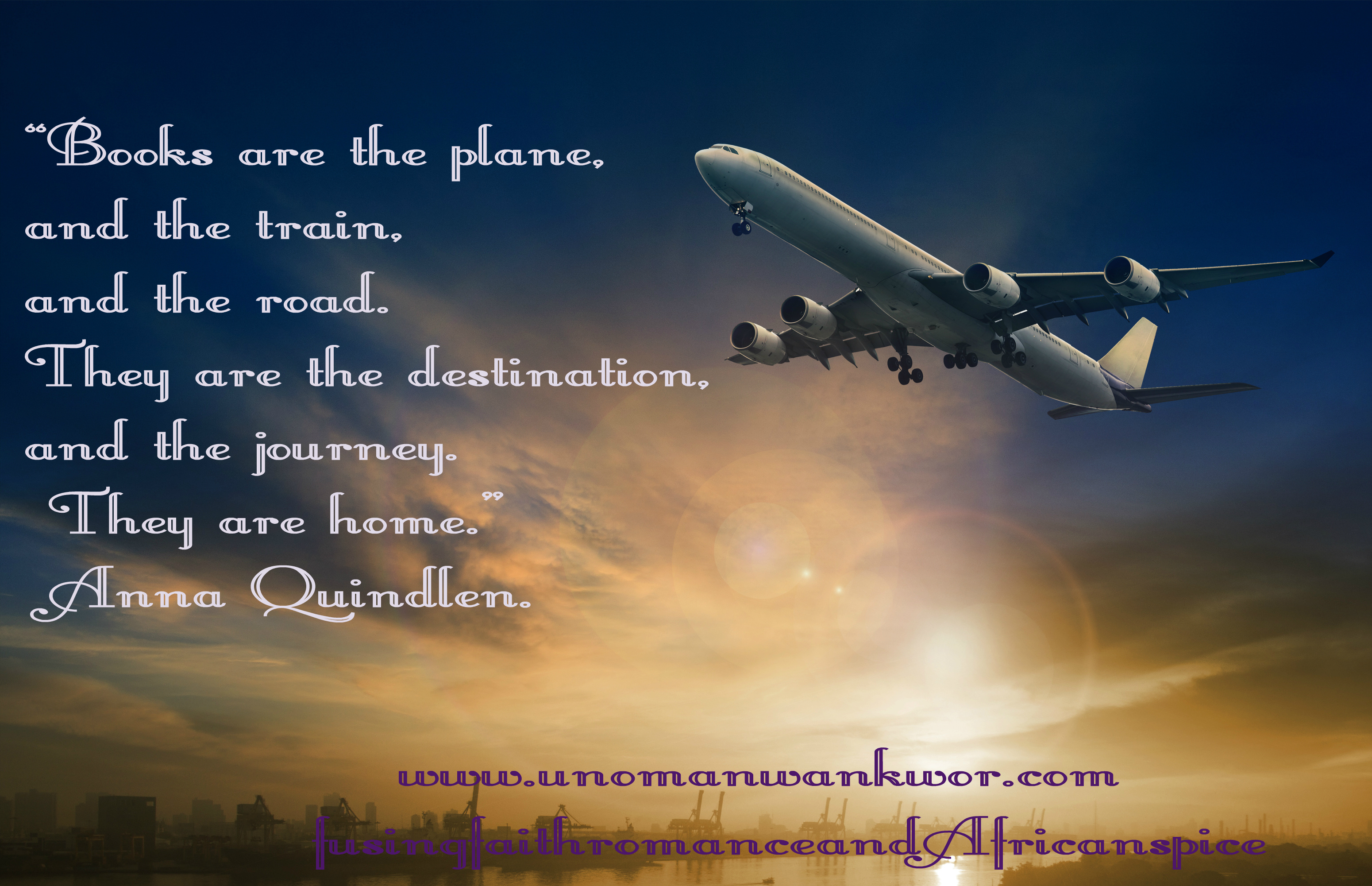 passenger plane flying on beautiful  dusky sky