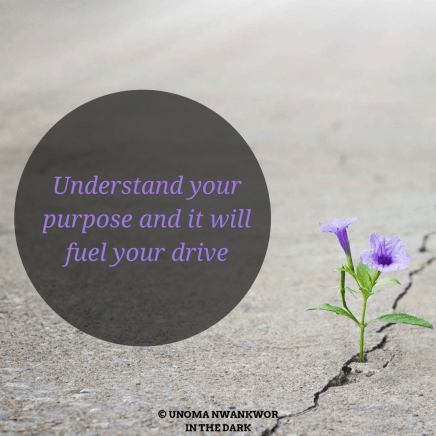 © Unoma NwankworIn The DarkAvailable Now